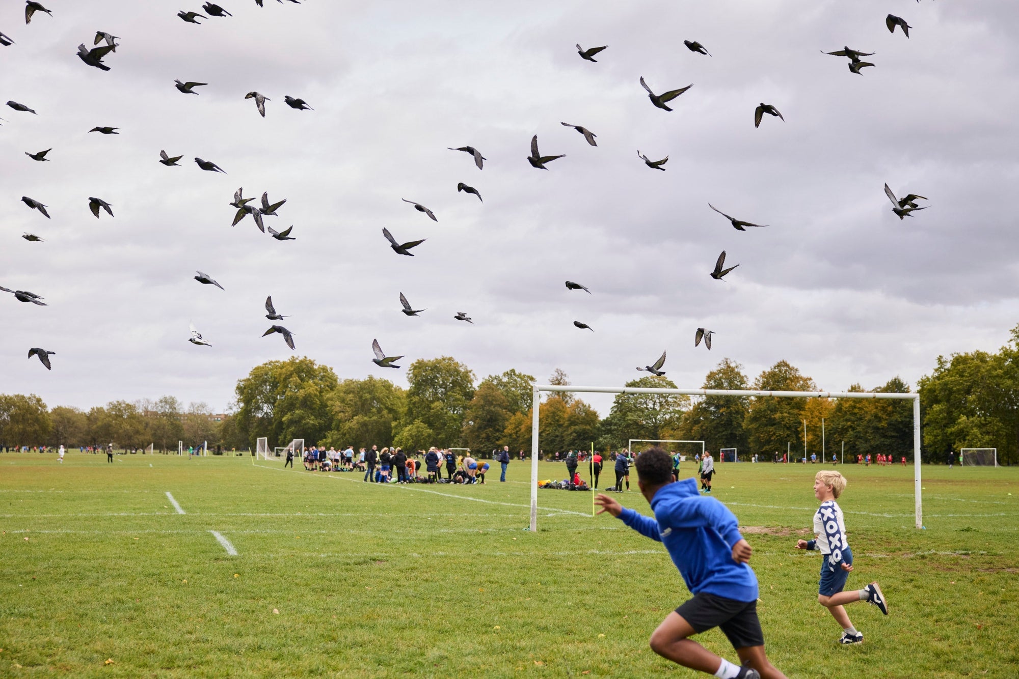 Sustainability starts at home, every step counts.